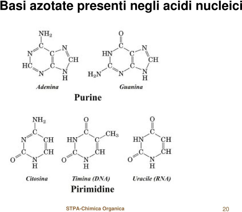 acidi nucleici