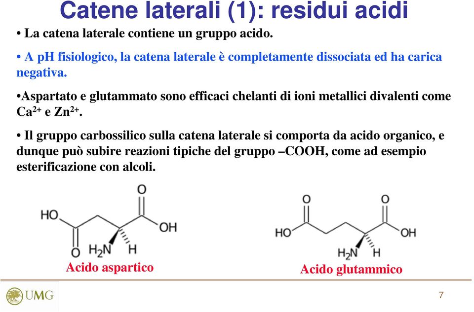 Aspartato e glutammato sono efficaci chelanti di ioni metallici divalenti come Ca 2+ e Zn 2+.