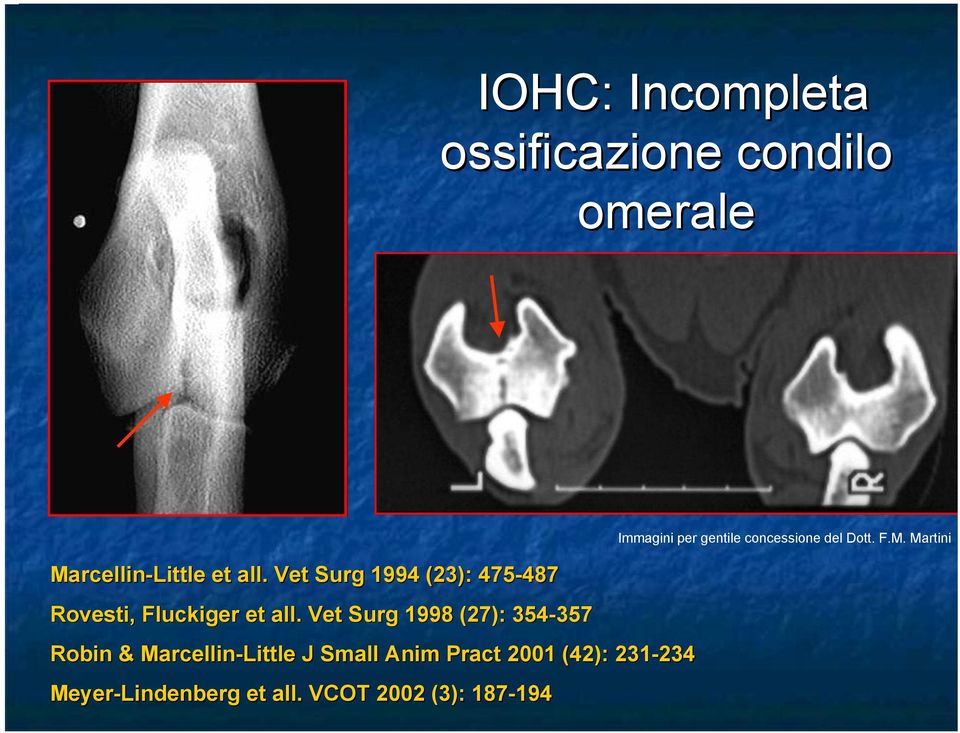 Vet Surg 1998 (27): 354-357 357 Robin & Marcellin-Little J Small Anim Pract 2001