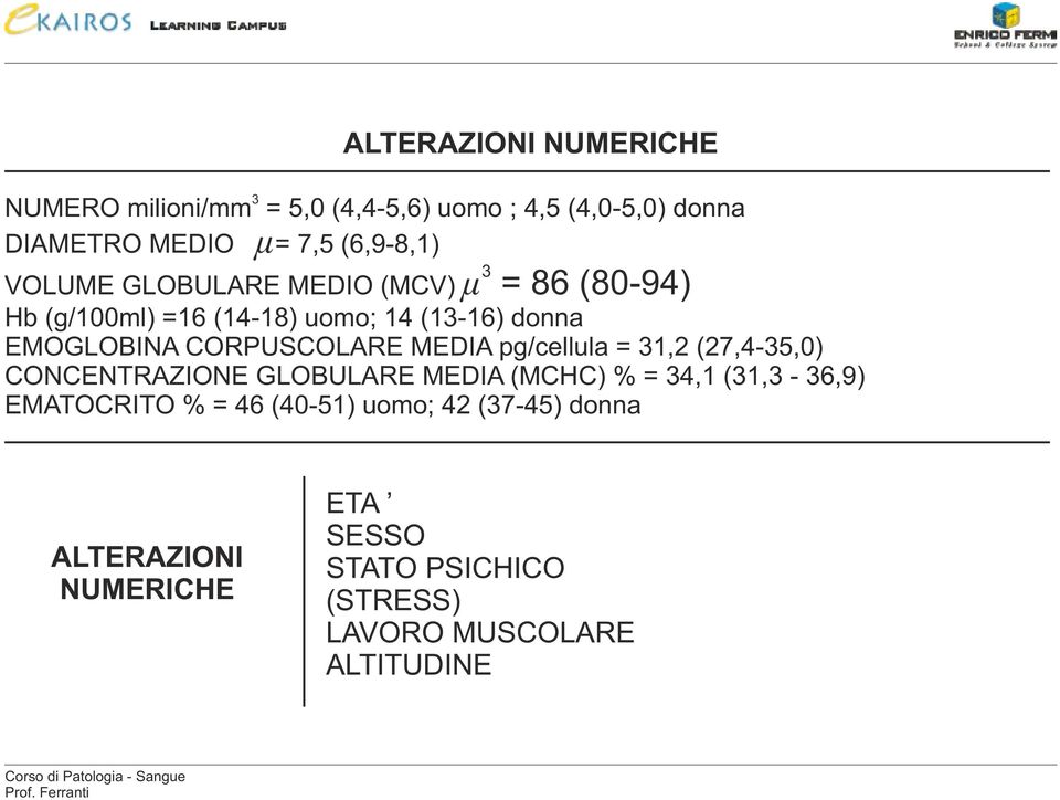 CORPUSCOLARE MEDIA pg/cellula = 31,2 (27,4-35,0) CONCENTRAZIONE GLOBULARE MEDIA (MCHC) % = 34,1 (31,3-36,9)