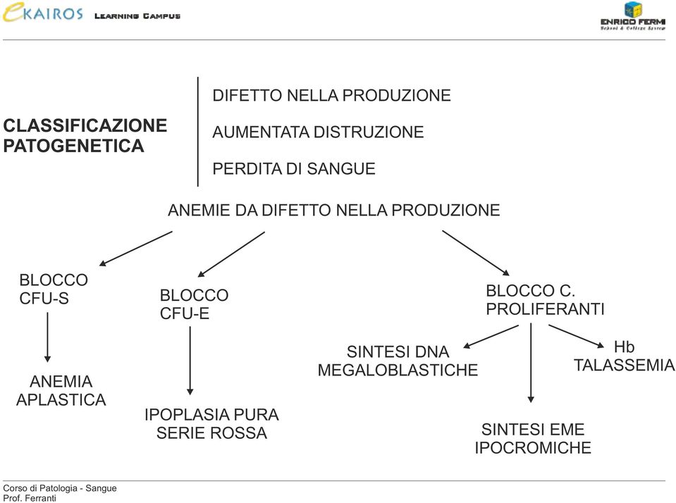 CFU-S ANEMIA APLASTICA BLOCCO CFU-E IPOPLASIA PURA SERIE ROSSA SINTESI