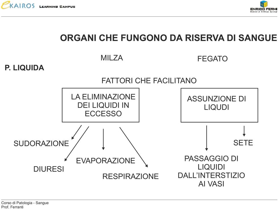 DEI LIQUIDI IN ECCESSO ASSUNZIONE DI LIQUDI SUDORAZIONE