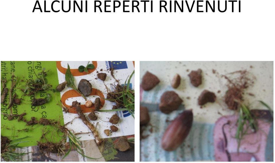 RINVENUTI