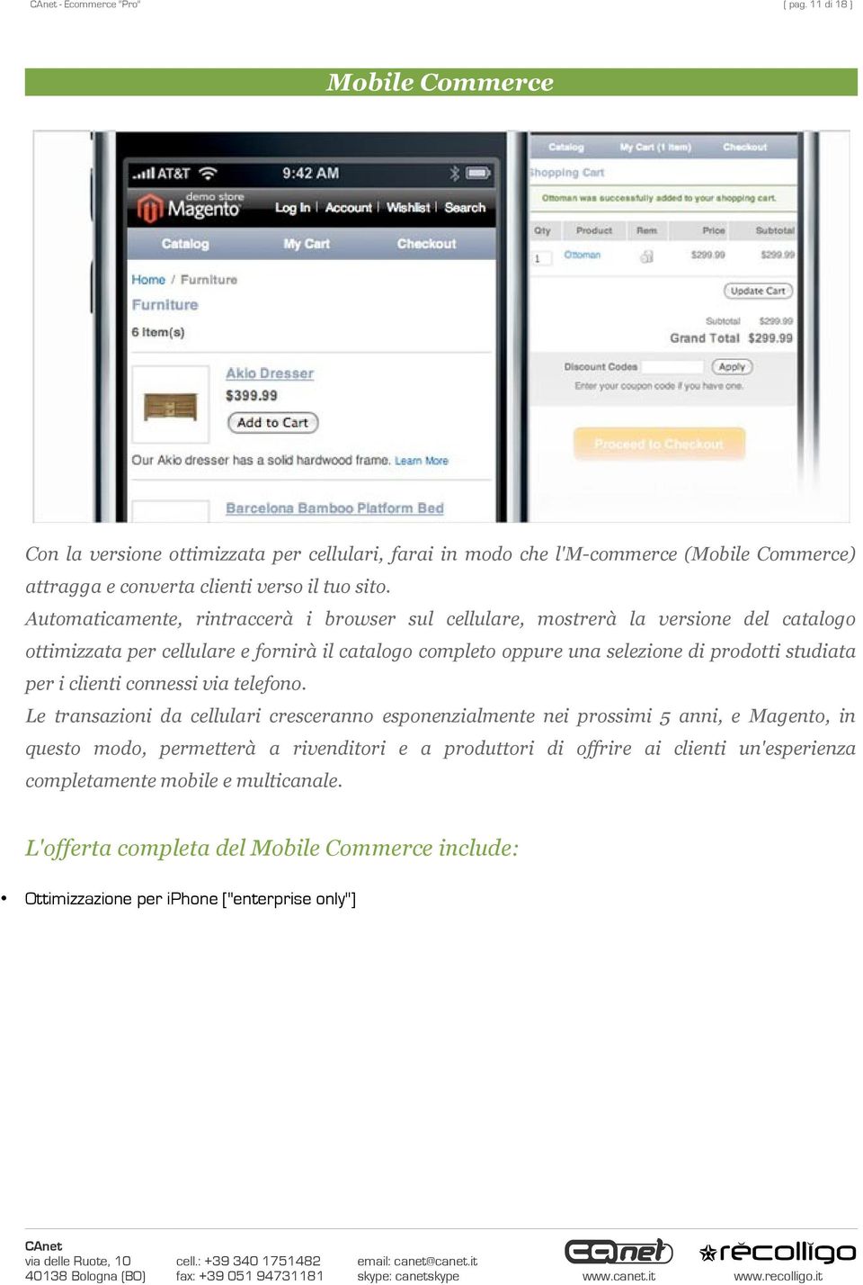 Automaticamente, rintraccerà i browser sul cellulare, mostrerà la versione del catalogo ottimizzata per cellulare e fornirà il catalogo completo oppure una selezione di prodotti