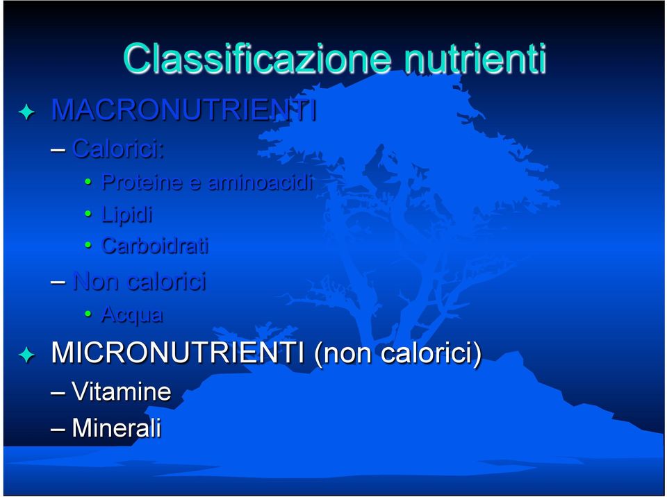 aminoacidi Lipidi Carboidrati Non