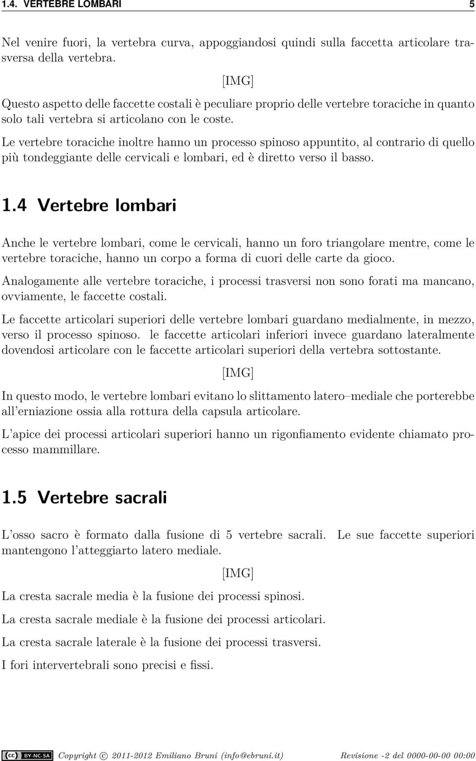 Le vertebre toraciche inoltre hanno un processo spinoso appuntito, al contrario di quello più tondeggiante delle cervicali e lombari, ed è diretto verso il basso.