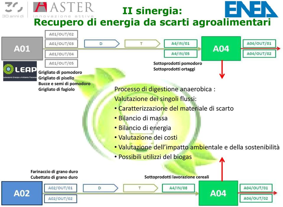 digestione anaerobica : Valutazione dei singoli flussi: Caratterizzazione del materiale di scarto Bilancio di massa Bilancio di