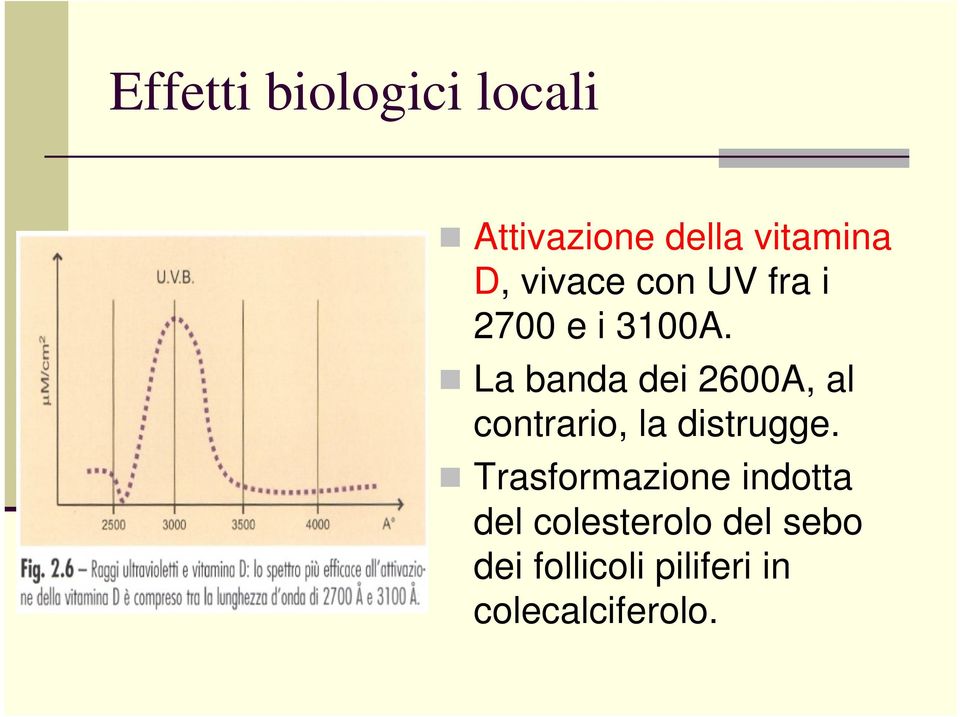 La banda dei 2600A, al contrario, la distrugge.