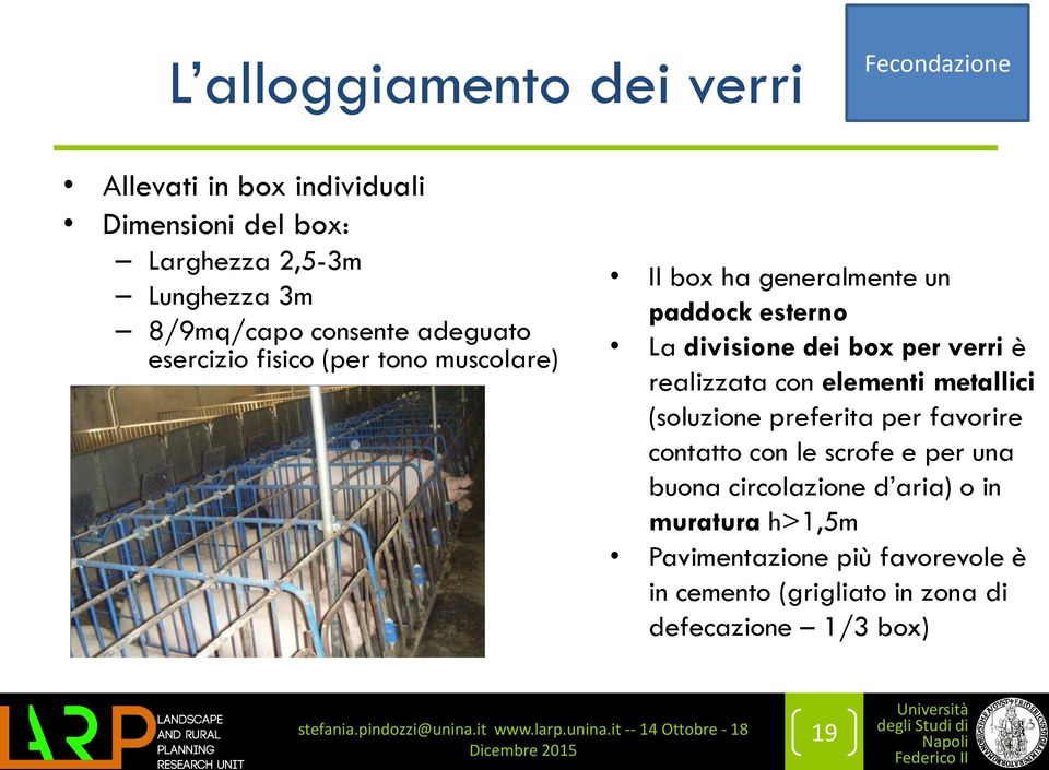 dei box per verri è realizzata con elementi metallici (soluzione preferita per favorire contatto con le scrofe e per una