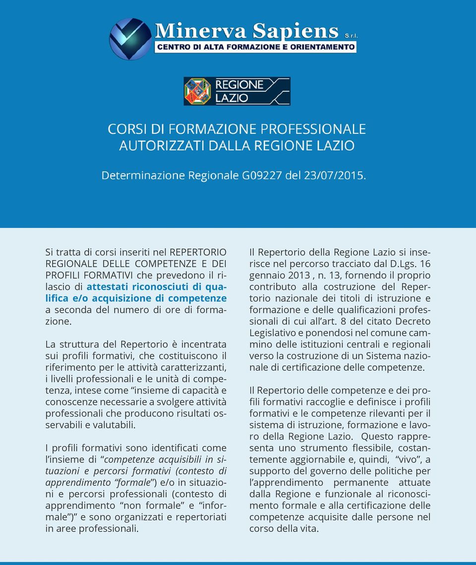 La struttura del Repertorio è incentrata sui profili formativi, che costituiscono il riferimento per le attività caratterizzanti, i livelli professionali e le unità di competenza, intese come insieme