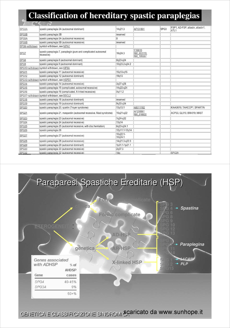 AR-HSP X-linked HSP SPG 3 SPG 4 SPG 6 SPG 8 SPG 9 SPG 0 SPG SPG 3 SPG 5 SPG 7 SPG