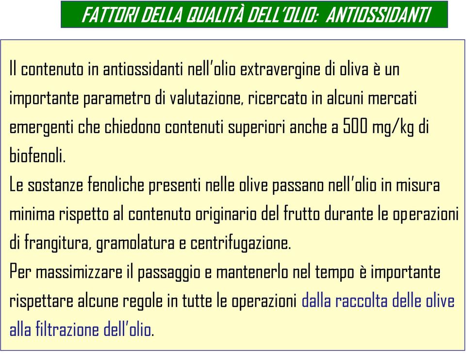 Le sostanze fenoliche presenti nelle olive passano nell olio in misura minima rispetto al contenuto originario del frutto durante le operazioni di