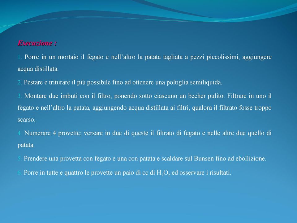 Montare due imbuti con il filtro, ponendo sotto ciascuno un becher pulito: Filtrare in uno il fegato e nell altro la patata, aggiungendo acqua distillata ai filtri, qualora il
