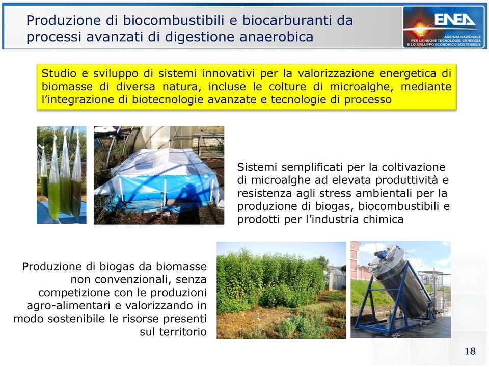 coltivazione di microalghe ad elevata produttività e resistenza agli stress ambientali per la produzione di biogas, biocombustibili e prodotti per l industria chimica