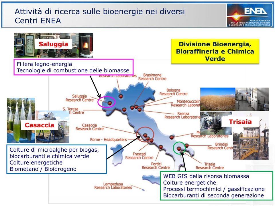 microalghe per biogas, biocarburanti e chimica verde Colture energetiche Biometano / Bioidrogeno WEB GIS