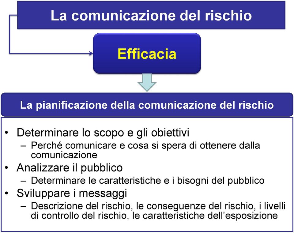 pubblico Determinare le caratteristiche e i bisogni del pubblico Sviluppare i messaggi Descrizione del