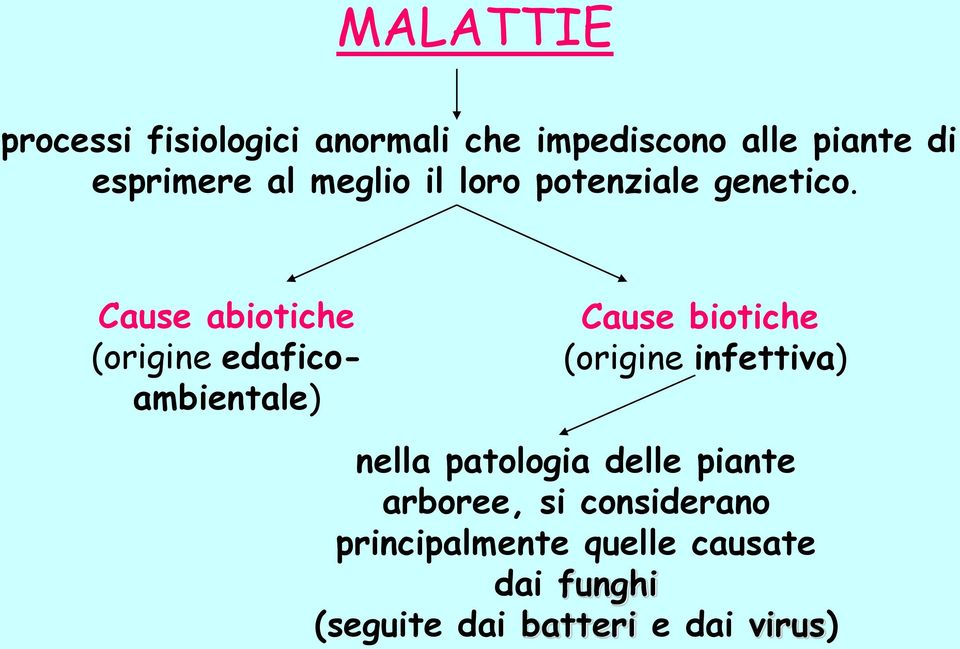 Cause abiotiche (origine edaficoambientale) Cause biotiche (origine infettiva)