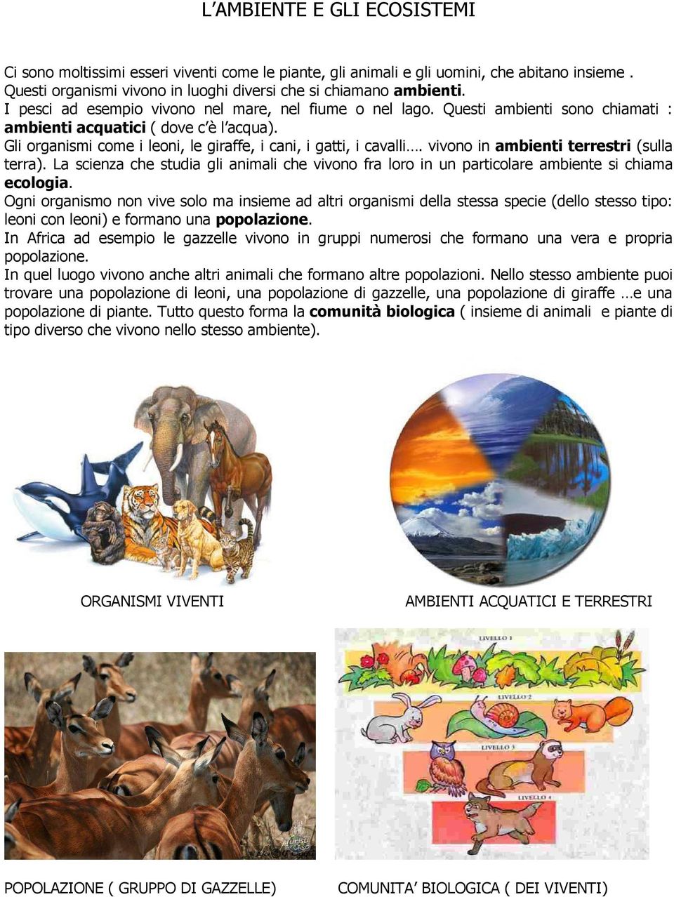 vivono in ambienti terrestri (sulla terra). La scienza che studia gli animali che vivono fra loro in un particolare ambiente si chiama ecologia.