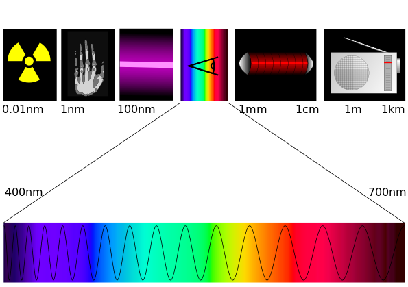 LA LUCE VISIBILE L occhio umano è sensibile solo ad una piccola parte dello spettro elettromagnetico: la luce VISIBILE COLORE LUNGHEZZA D ONDA (nm) violetto 380-430