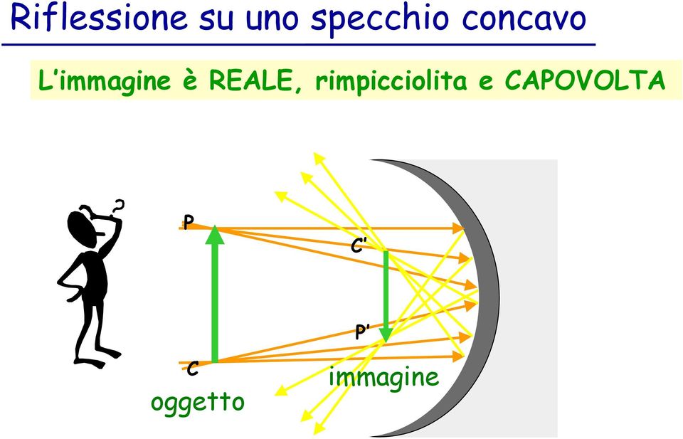 immagine è REALE,