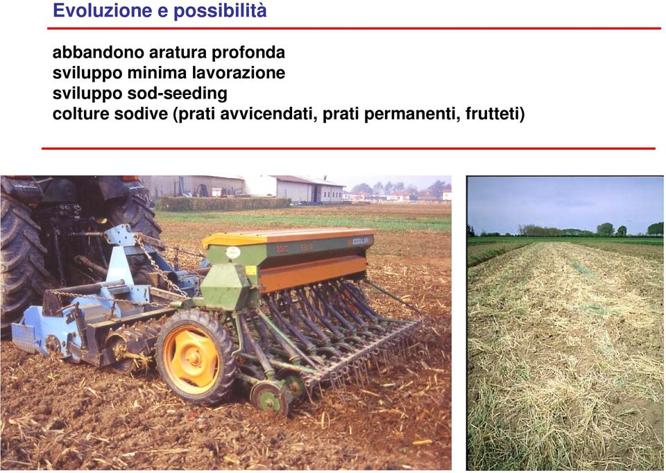 sviluppo sod-seeding colture sodive (prati