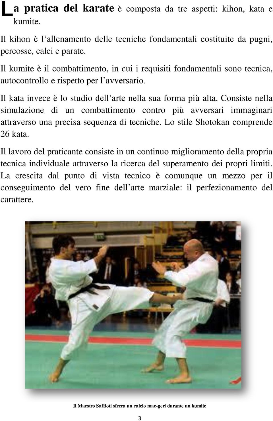 Consiste nella simulazione di un combattimento contro più avversari immaginari attraverso una precisa sequenza di tecniche. Lo stile Shotokan comprende 26 kata.