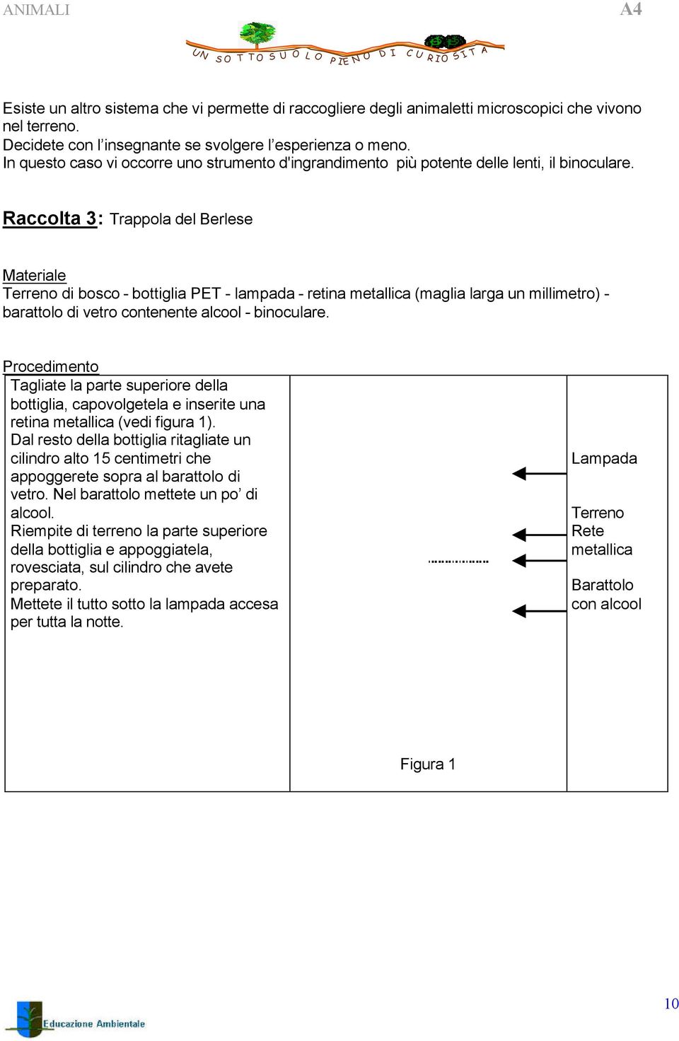 Raccolta 3: Trappola del Berlese Materiale Terreno di bosco - bottiglia PET - lampada - retina metallica (maglia larga un millimetro) - barattolo di vetro contenente alcool - binoculare.