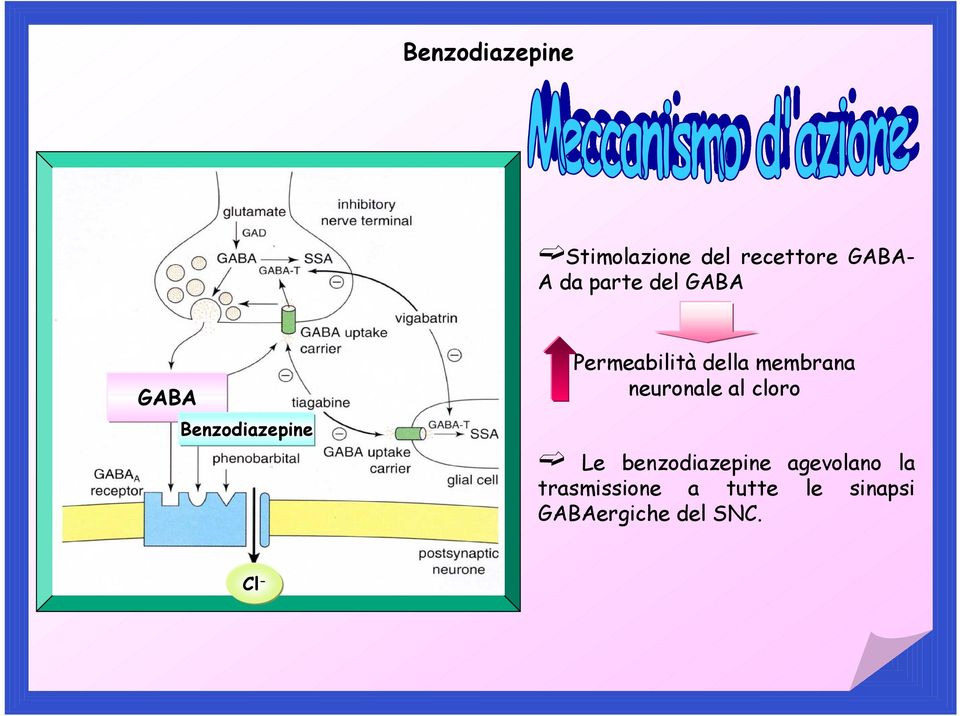 membrana neuronale al cloro Le benzodiazepine