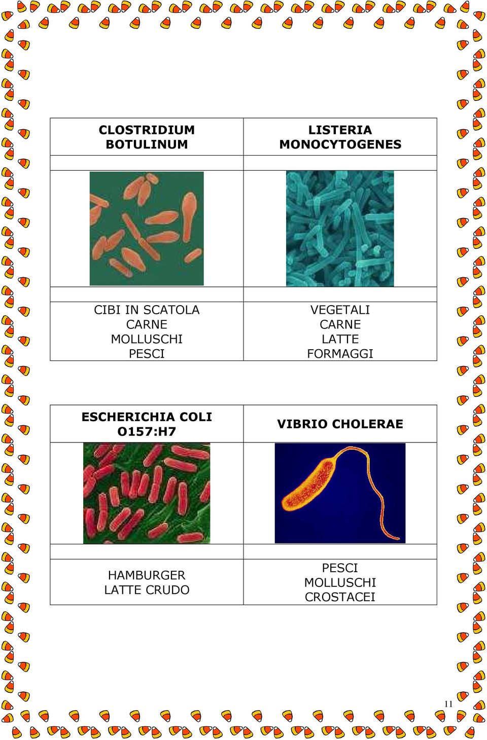 LATTE FORMAGGI ESCHERICHIA COLI O157:H7 VIBRIO