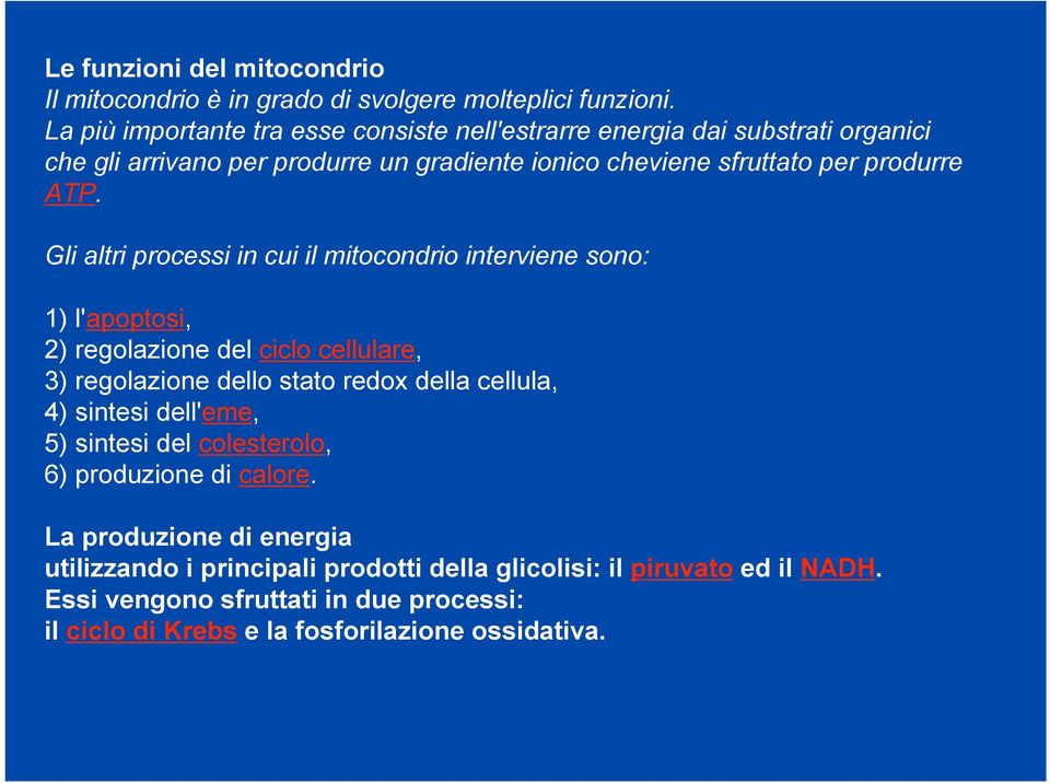 Gli altri processi in cui il mitocondrio interviene sono: 1) l'apoptosi, 2) regolazione del ciclo cellulare, 3) regolazione dello stato redox della cellula, 4) sintesi