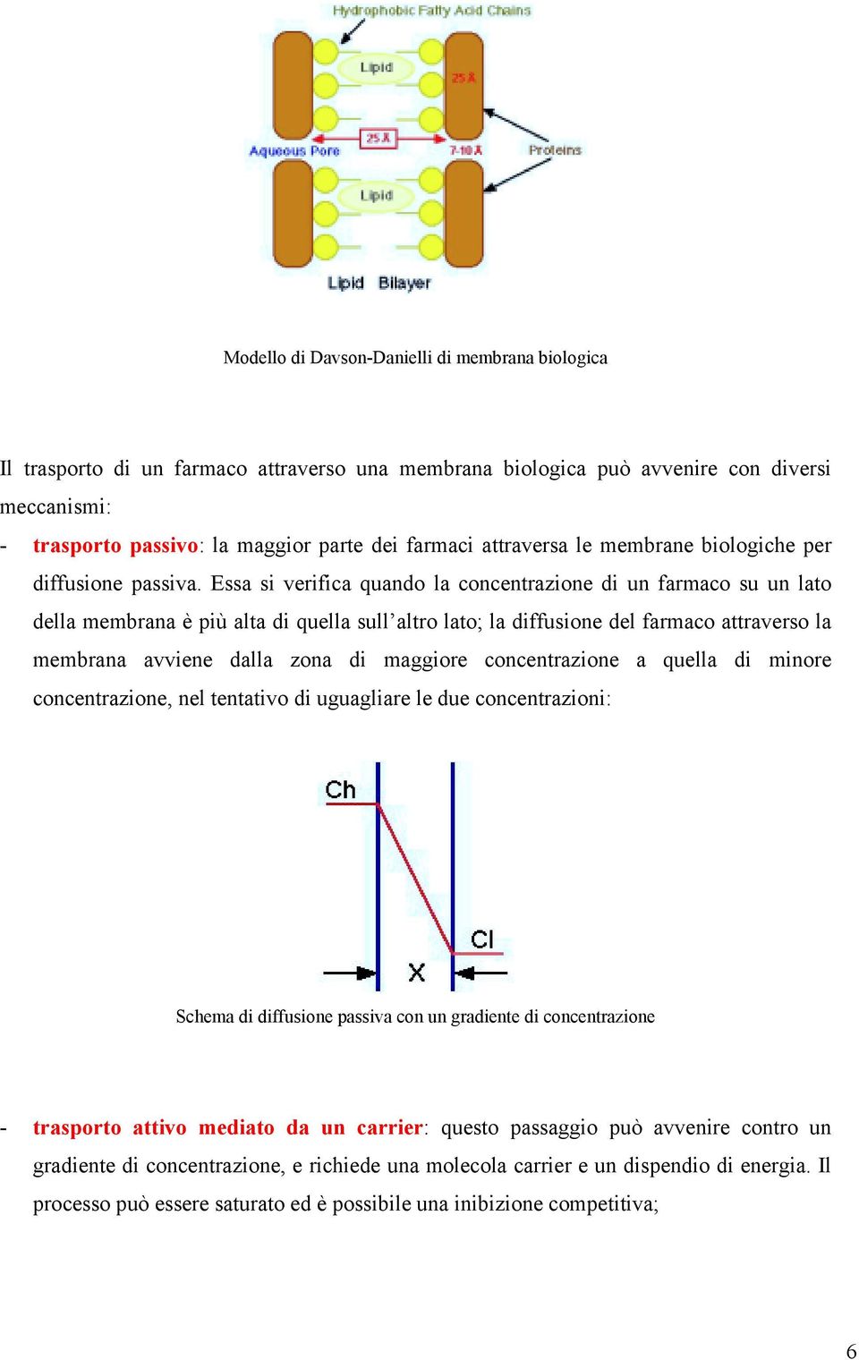 Essa si verifica quando la concentrazione di un farmaco su un lato della membrana è più alta di quella sull altro lato; la diffusione del farmaco attraverso la membrana avviene dalla zona di maggiore