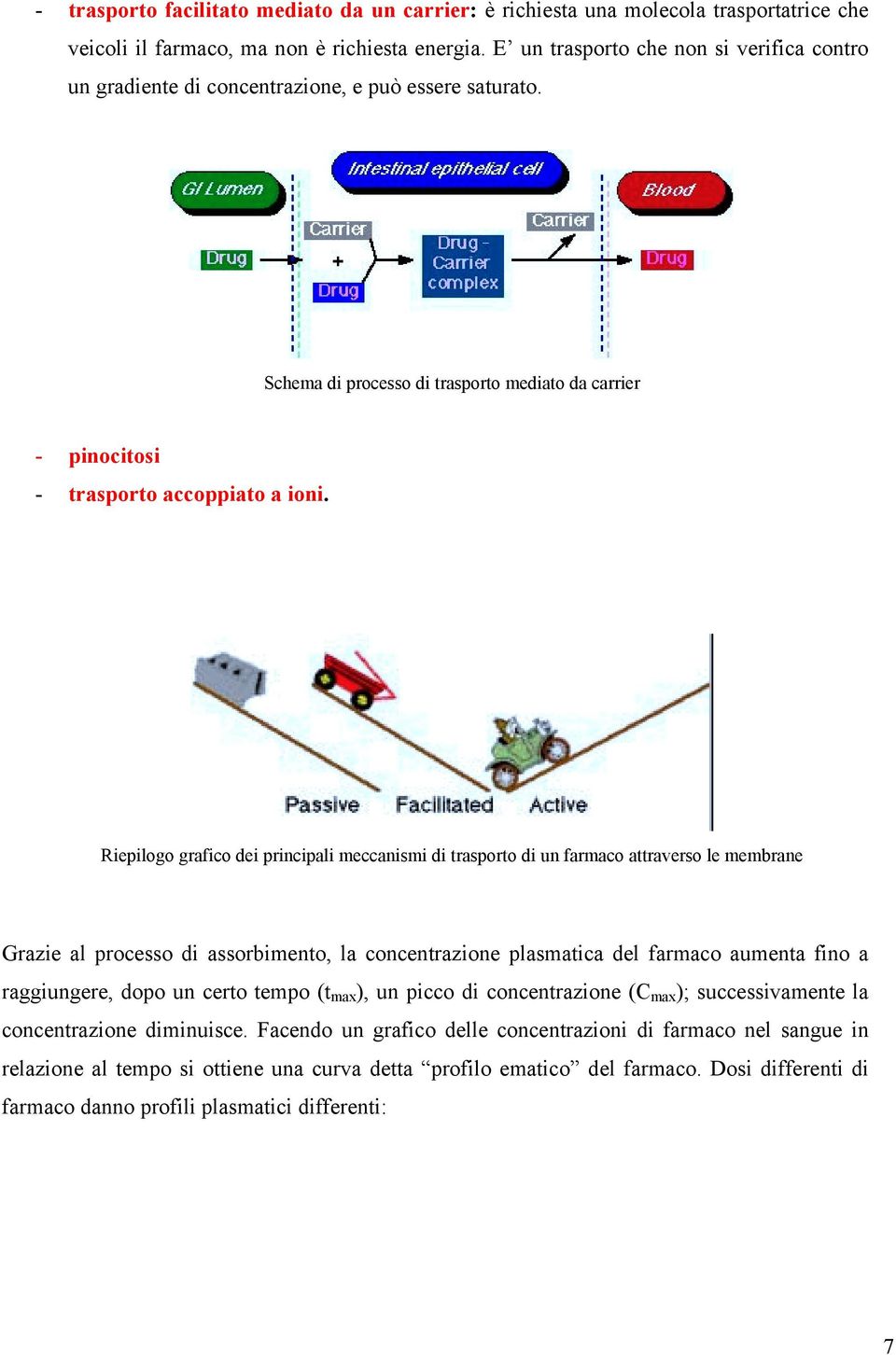 Riepilogo grafico dei principali meccanismi di trasporto di un farmaco attraverso le membrane Grazie al processo di assorbimento, la concentrazione plasmatica del farmaco aumenta fino a raggiungere,