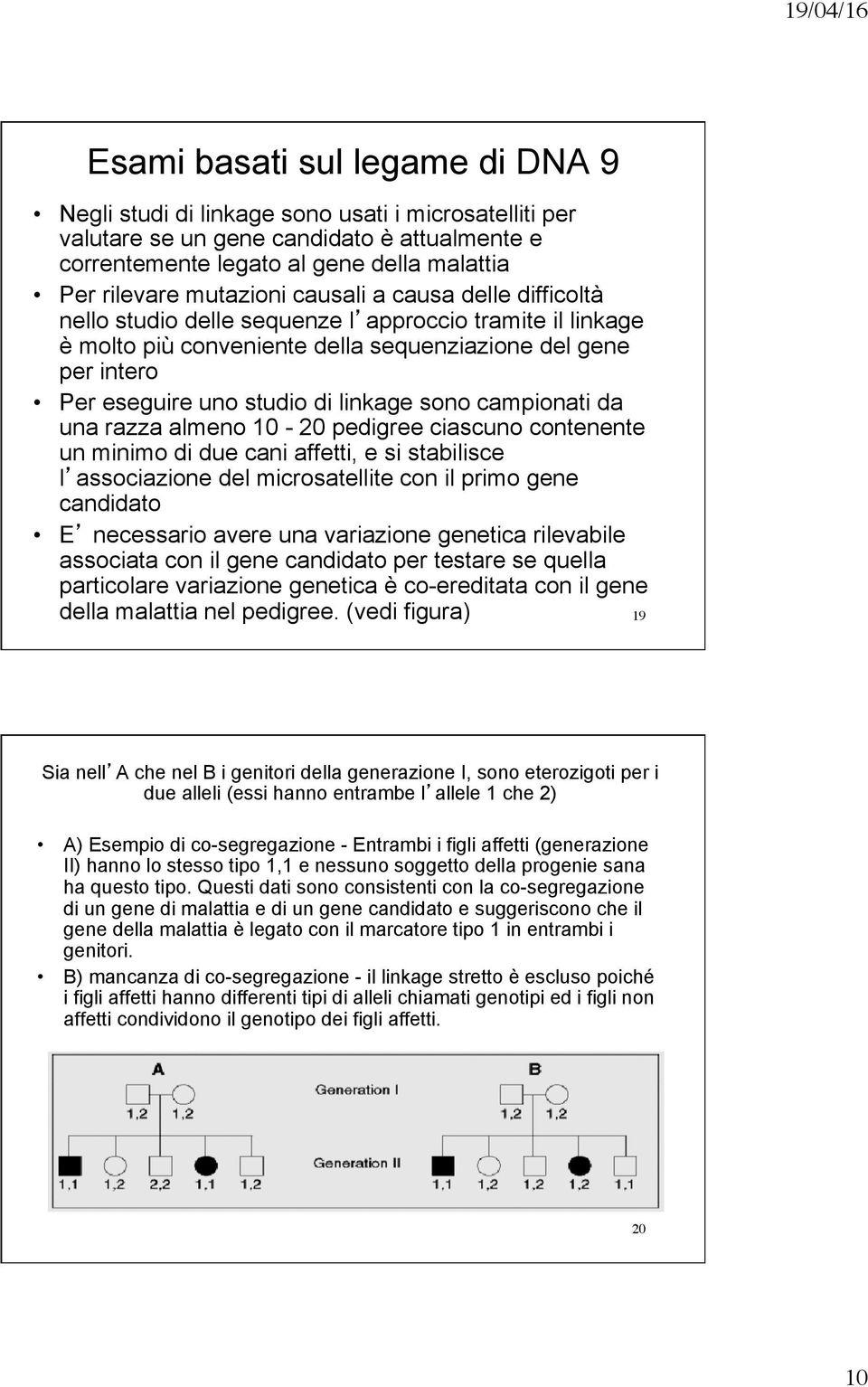 linkage sono campionati da una razza almeno 10-20 pedigree ciascuno contenente un minimo di due cani affetti, e si stabilisce l associazione del microsatellite con il primo gene candidato E