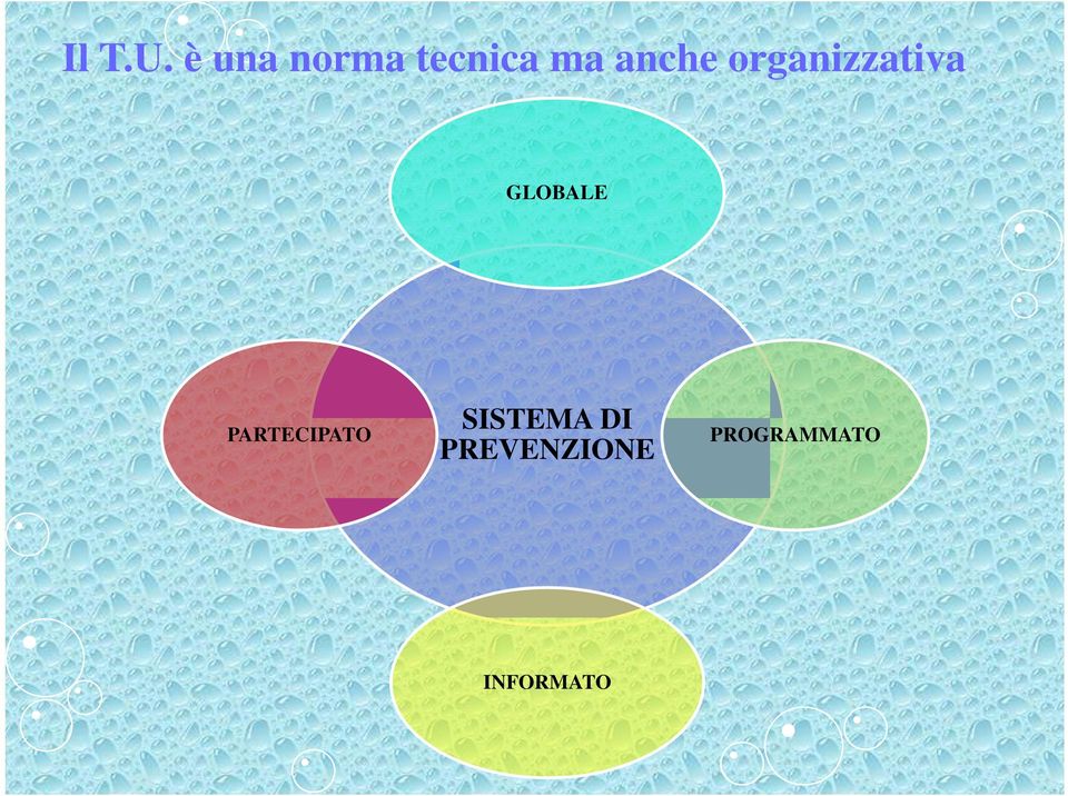 organizzativa GLOBALE