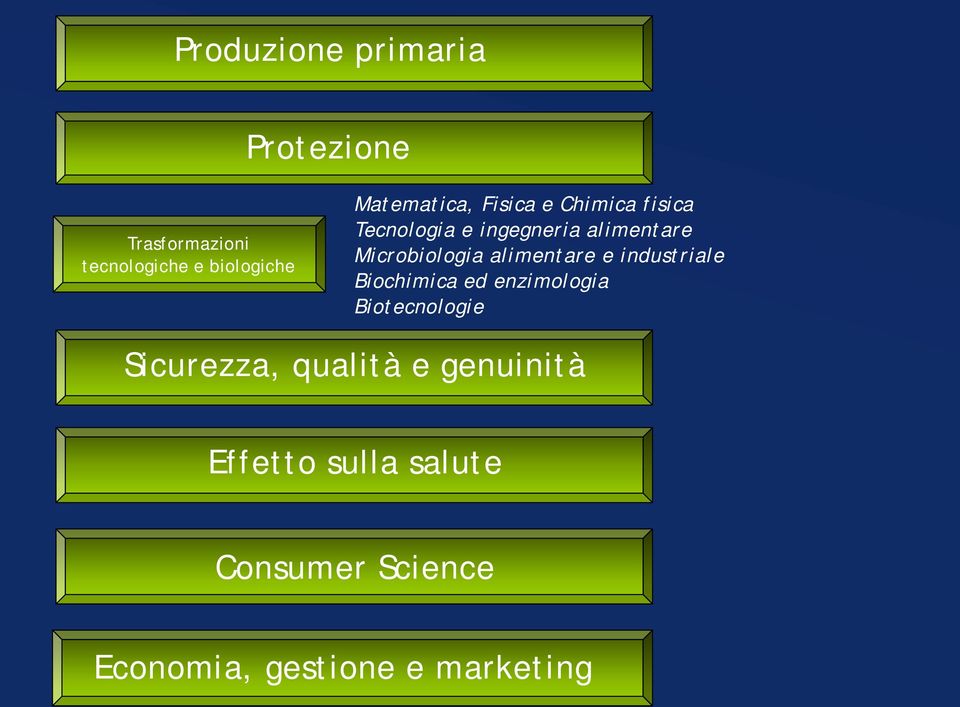 Microbiologia alimentare e industriale Biochimica ed enzimologia Biotecnologie