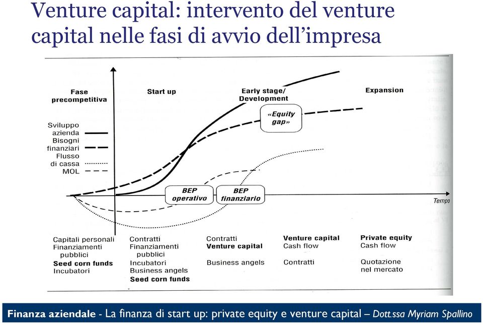 venture capital