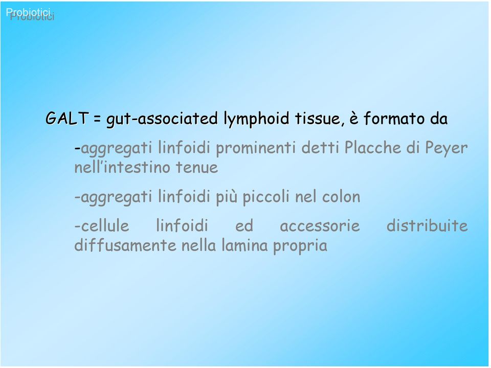 intestino tenue -aggregati linfoidi più piccoli nel colon
