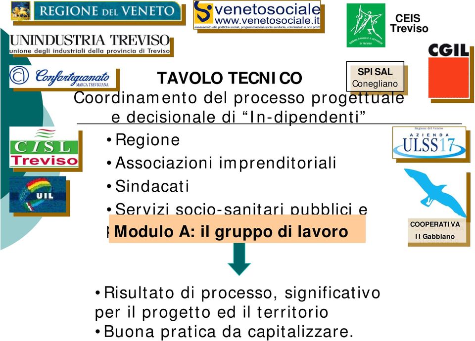 socio-sanitari pubblici e privati Modulo A: il gruppo di lavoro COOPERATIVA COOPERATIVA Il Gabbiano