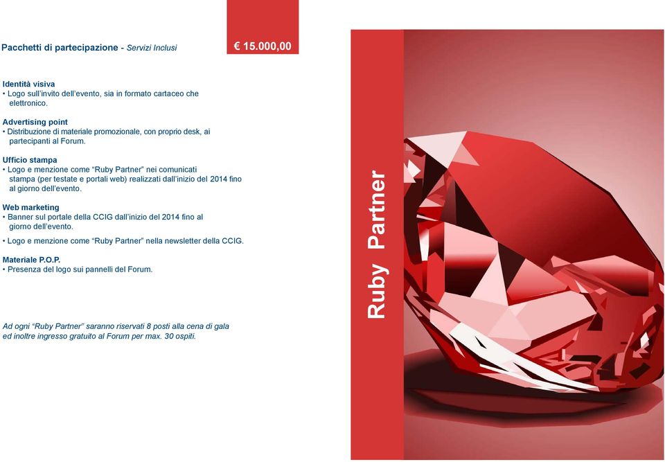 Ufficio stampa Logo e menzione come Ruby Partner nei comunicati stampa (per testate e portali web) realizzati dall inizio del 2014 fino al giorno dell evento.