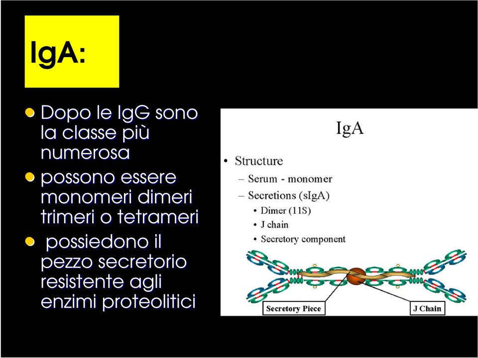 trimeri o tetrameri possiedono il pezzo