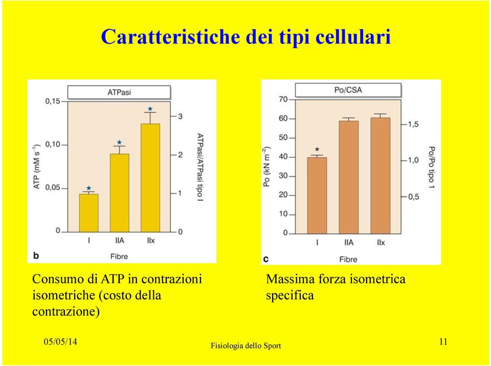 della contrazione) Massima forza