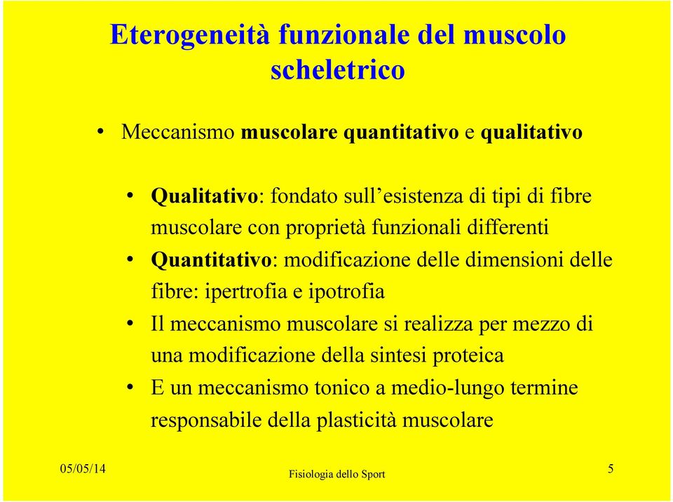 dimensioni delle fibre: ipertrofia e ipotrofia Il meccanismo muscolare si realizza per mezzo di una modificazione della