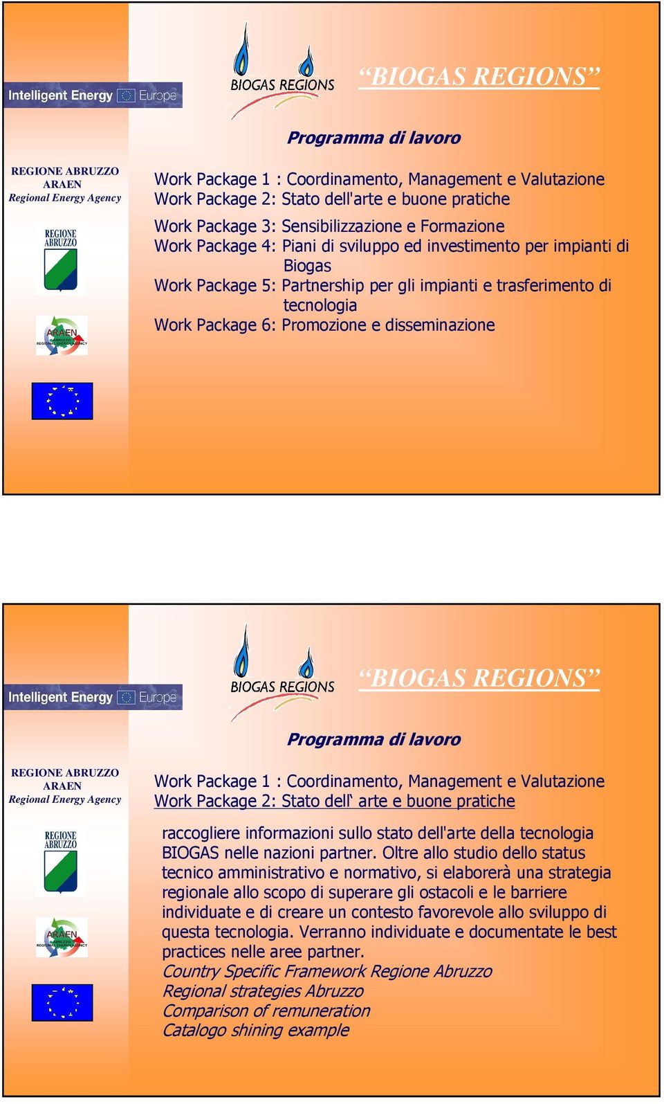 Valutazione Work Package 2: Stato dell arte e buone pratiche raccogliere informazioni sullo stato dell'arte della tecnologia BIOGAS nelle nazioni partner.