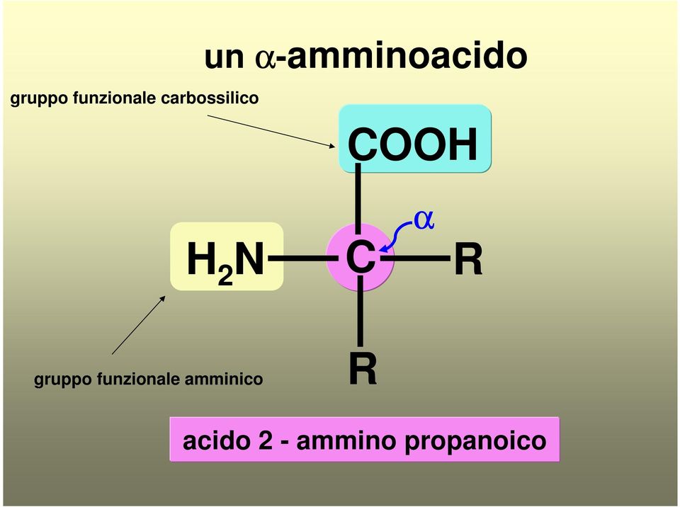 α-amminoacido OO 2 N α 