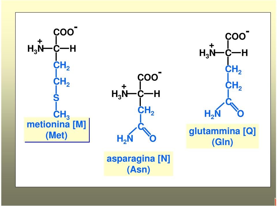 OO - 2 O asparagina [N] (Asn)