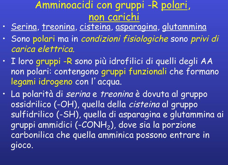 I loro gruppi -R sono più idrofilici di quelli degli AA non polari: contengono gruppi funzionali che formano legami idrogeno con l acqua.