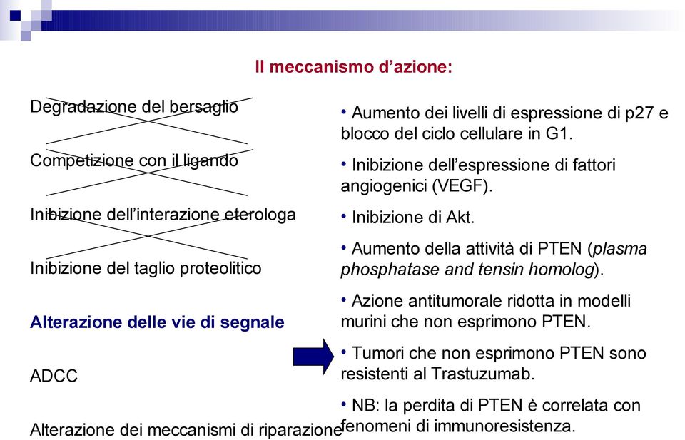 Aumento della attività di PTEN (plasma phosphatase and tensin homolog).