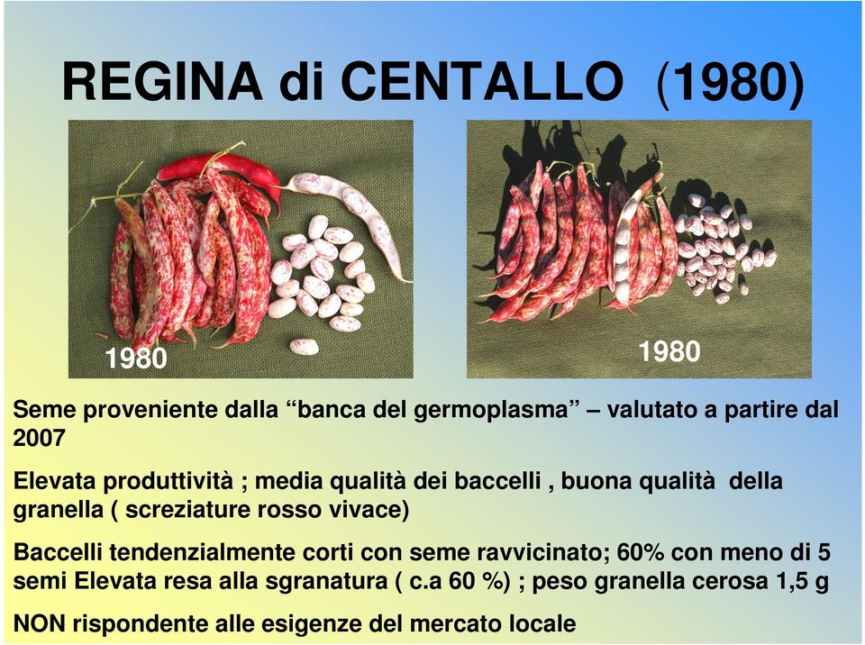 rosso vivace) Baccelli tendenzialmente corti con seme ravvicinato; 60% con meno di 5 semi Elevata resa