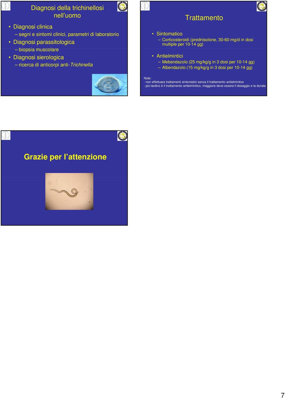 gg) Antielmintici Mebendazolo (25 mg/kg/g in 3 dosi per 10-14 gg) Albendazolo (15 mg/kg/g in 3 dosi per 10-14 gg) Note: - non effettuare trattamenti