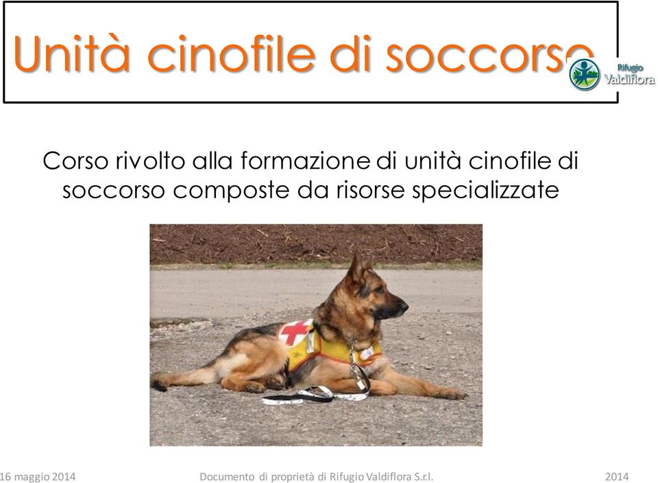 di unità cinofile di soccorso